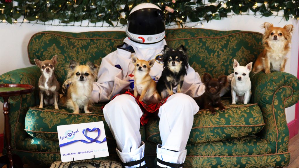 An astronaut sitting on a green couch under string lights and surrounded by five small chihuahua dogs